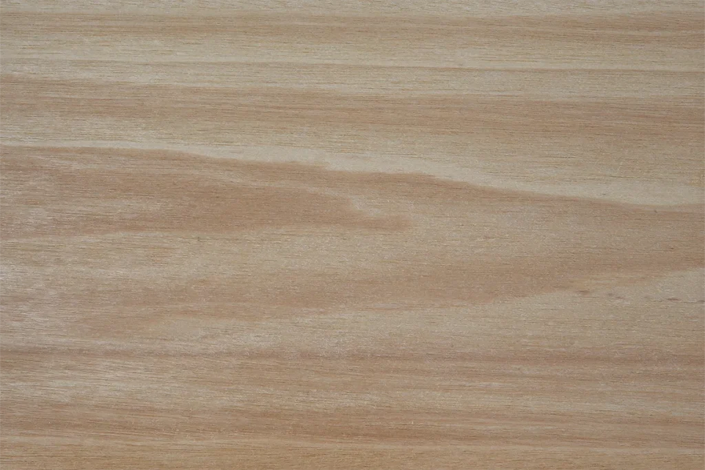 Anigre veneer flat cut with a subtle and even grain pattern