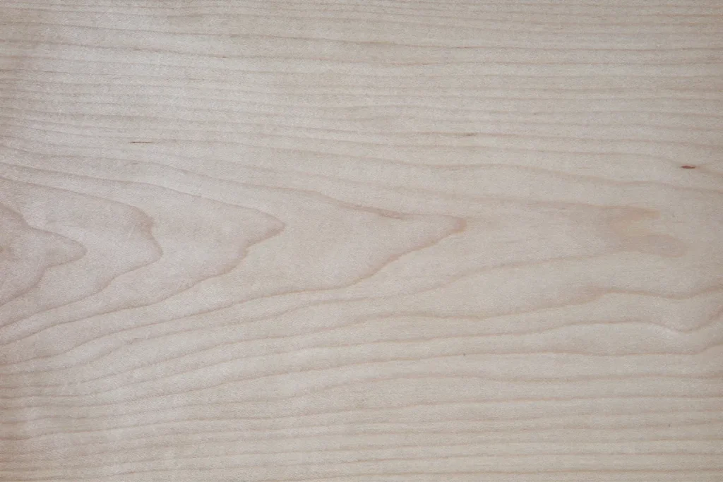 Maple veneer flat cut with soft grain and subtle natural variations