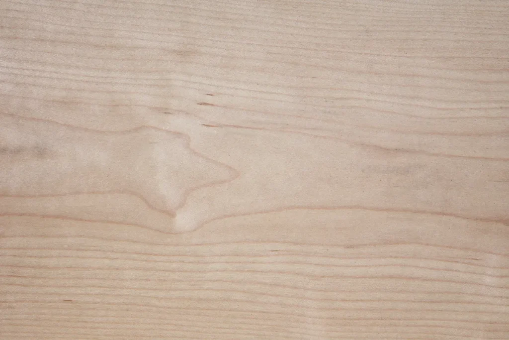 Maple veneer flat cut with flowing grain and light uniform tone