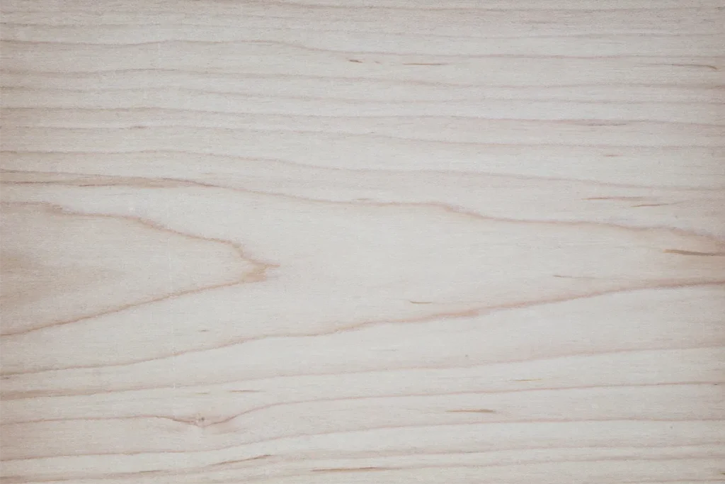 Maple veneer flat cut with subtle grain and clean appearance