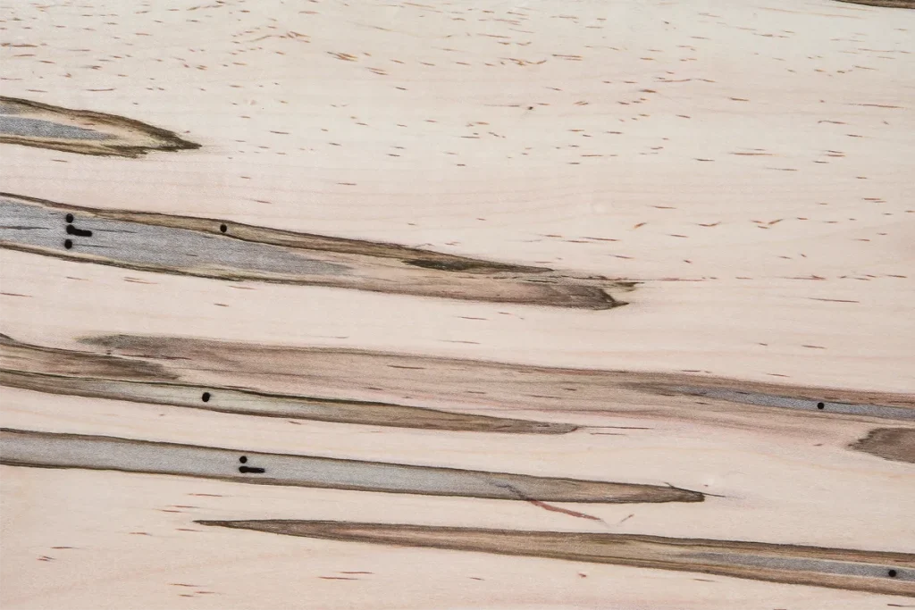 Wormy soft maple veneer flat cut with natural worm tracks and dark characteristic markings