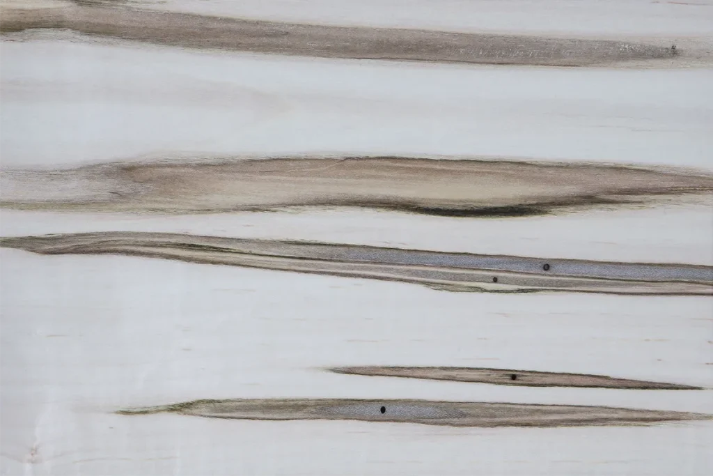 Wormy soft maple veneer flat cut with contrasting veins and irregular natural markings