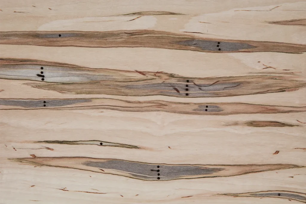 Wormy soft maple veneer flat cut with pronounced lines and authentic rustic character