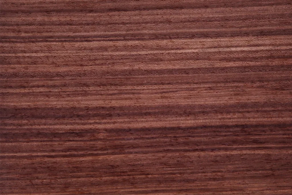 Etimoe wood veneer quarter cut with structured grain and refined appearance