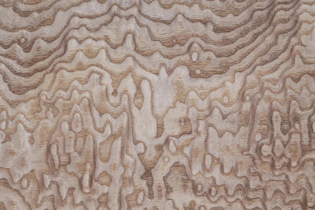 Japanese ash wood veneer flat cut with pronounced wavy pattern and decorative contrasting grain
