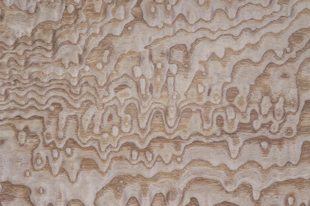 Japanese ash wood veneer flat cut with irregular structure and rich organic movement