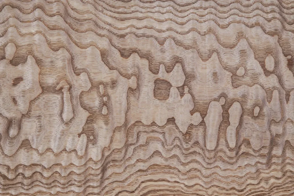 Japanese ash wood veneer flat cut with complex pattern and natural textured effect