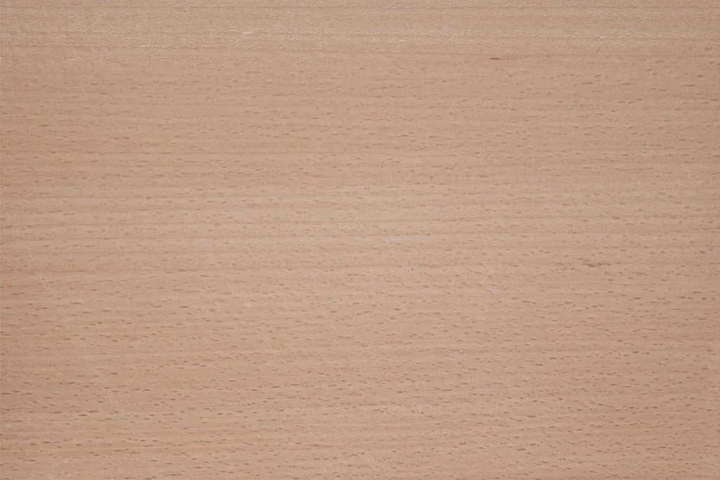 Steamed beech wood veneer quarter cut with soft linear structure and uniform appearance