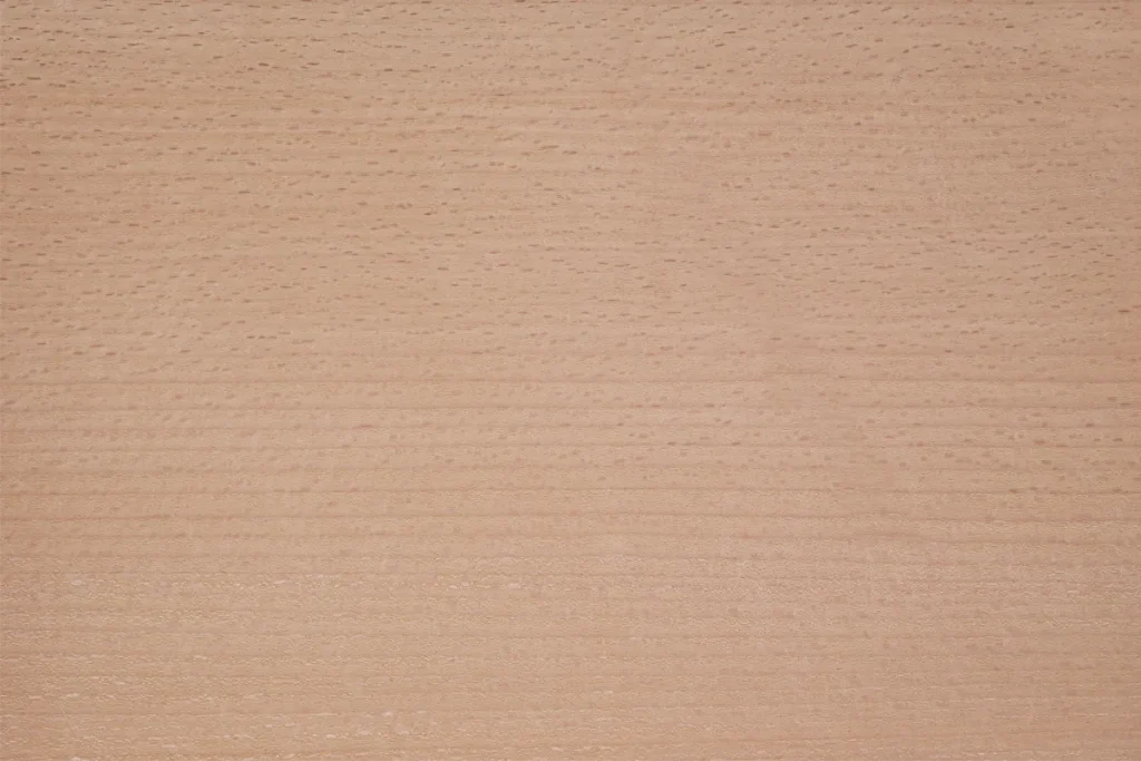 Steamed beech wood veneer quarter cut with tight grain and consistent finish
