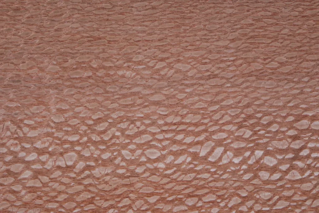 Lacewood veneer quarter cut with regular speckled pattern and decorative texture