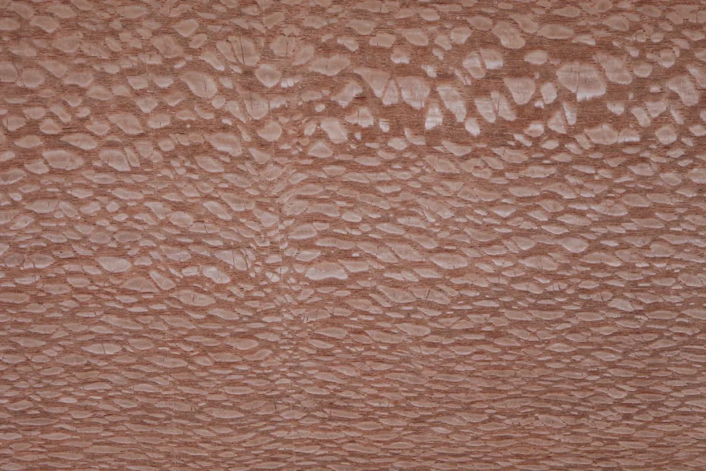 Lacewood veneer quarter cut with dense texture and highly graphic repeating pattern