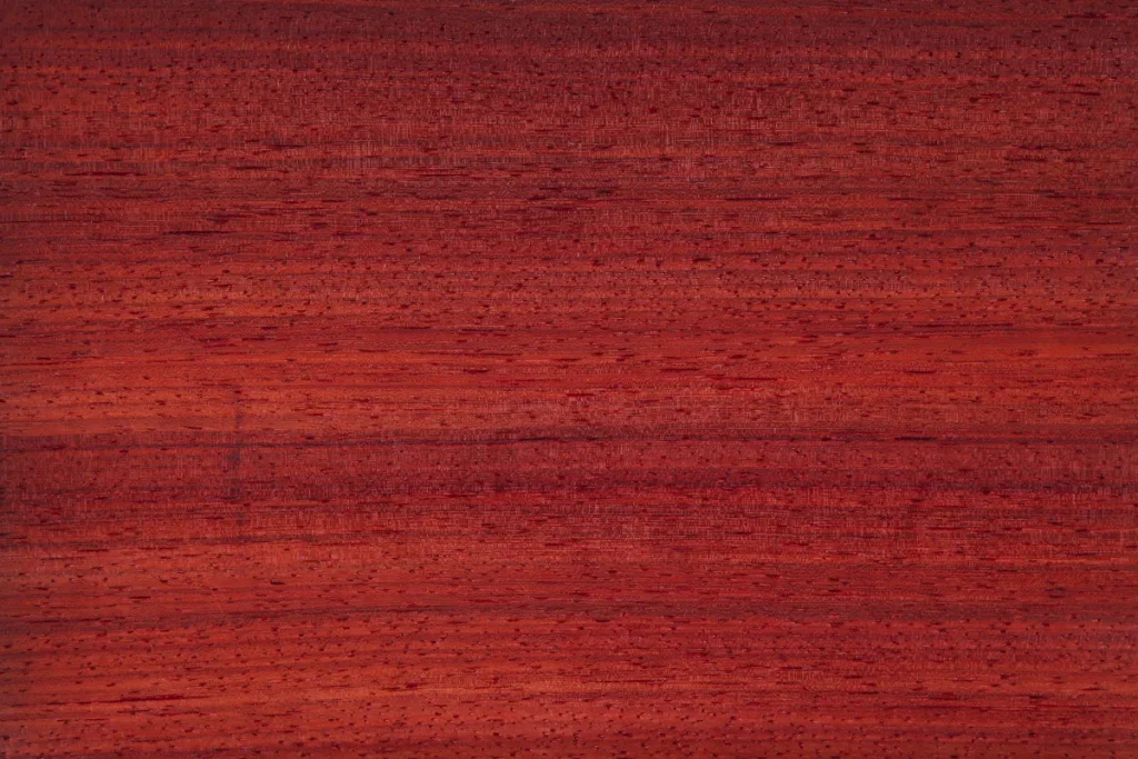 Placage de bois de Padauk sur quartier, avec fil droit et teinte rouge intense aux nuances profondes