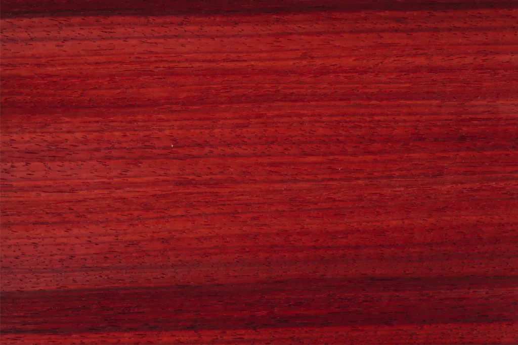 Placage de Padauk sur quartier avec grain linéaire et couleur rouge vif légèrement nuancée