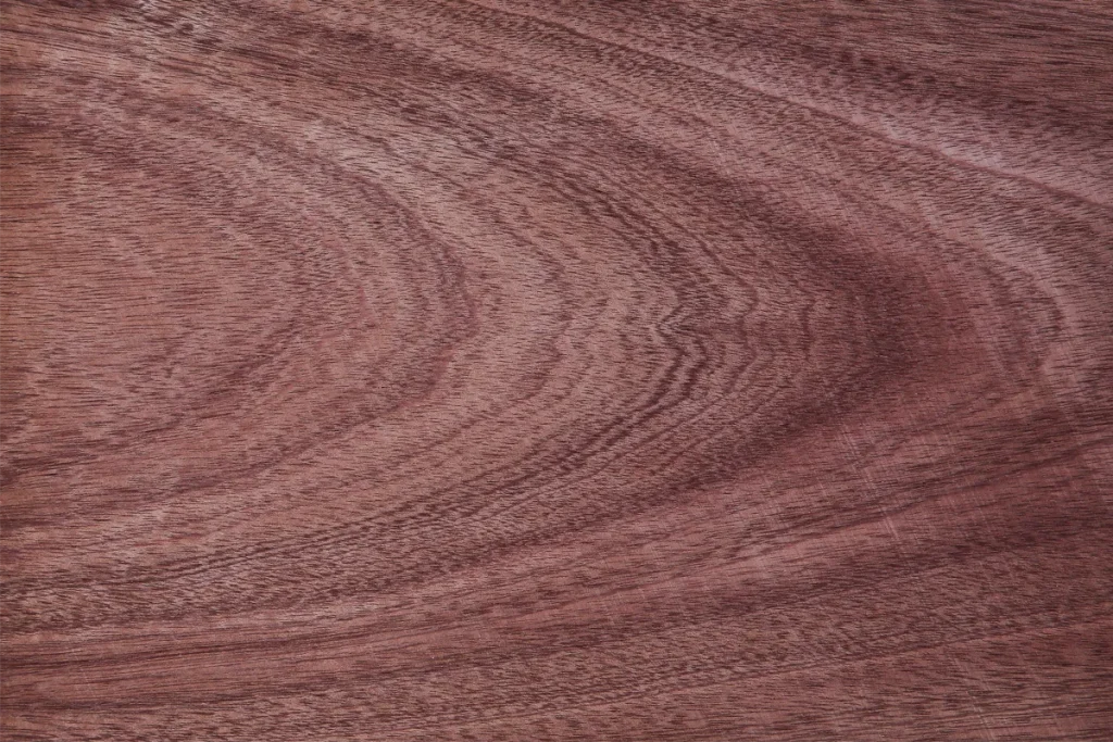 Flat cut sapele veneer with pronounced cathedral grain and deep reddish brown tones