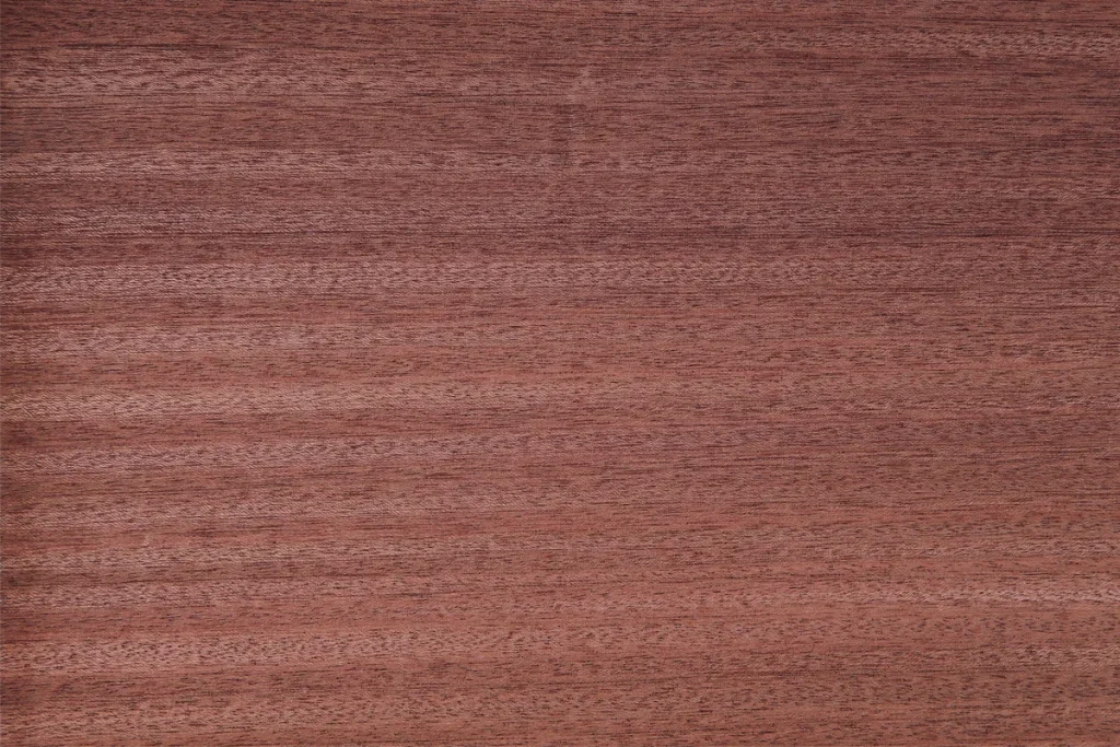 Quarter cut sapele veneer with fine grain and subtle ribbon figure