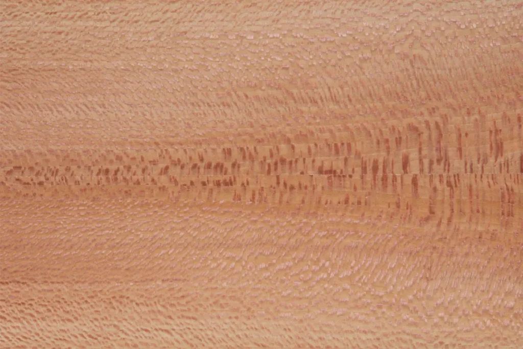 Quarter cut American Sycamore wood veneer with pronounced figured grain and natural variation