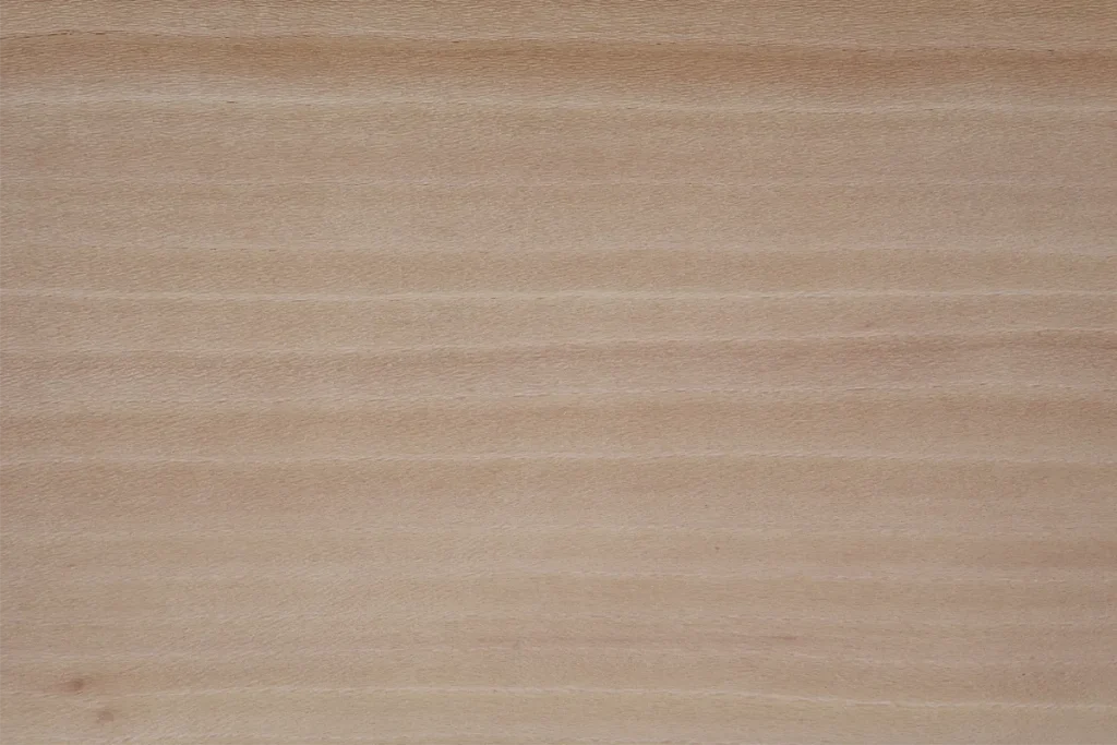Quarter cut American Sycamore wood veneer with straight grain and uniform texture