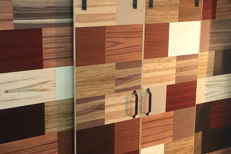 Portes avec un assemblage décoratif de différents placages de bois