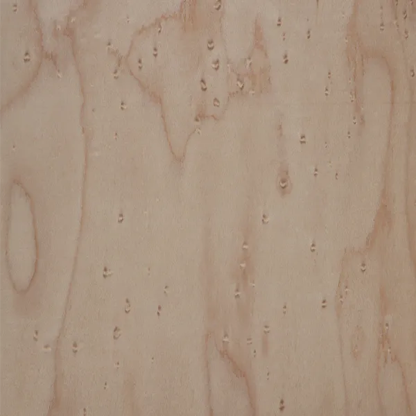 Bird’s eye maple veneer sheet showing a distinctive figured grain pattern