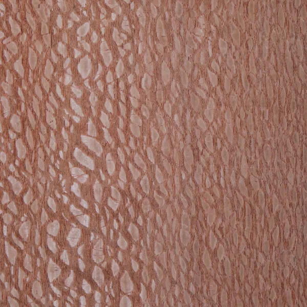 Lacewood veneer sheet showing a distinctive lace-like grain pattern
