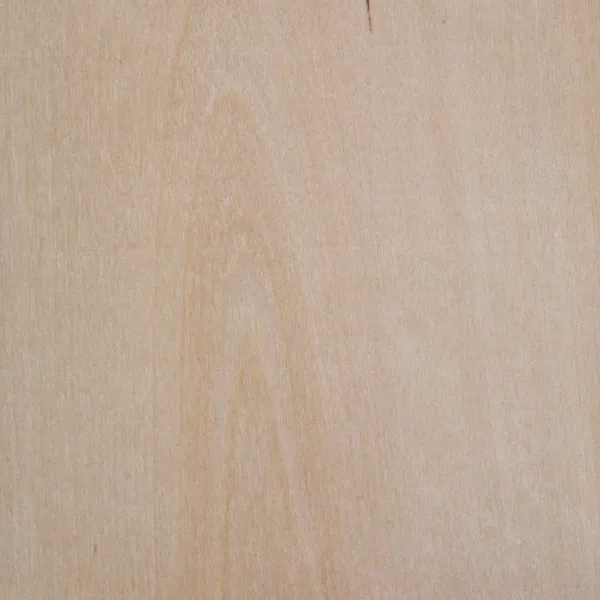 White birch veneer sheet showing the natural wood grain