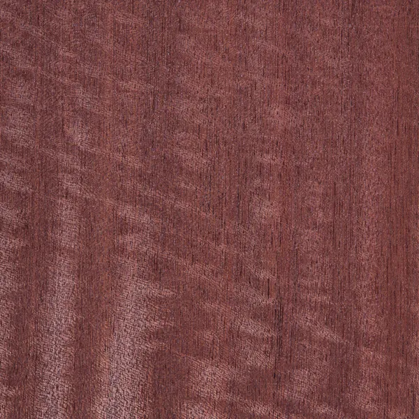 Figured sapele veneer sheet showing a distinctive grain pattern
